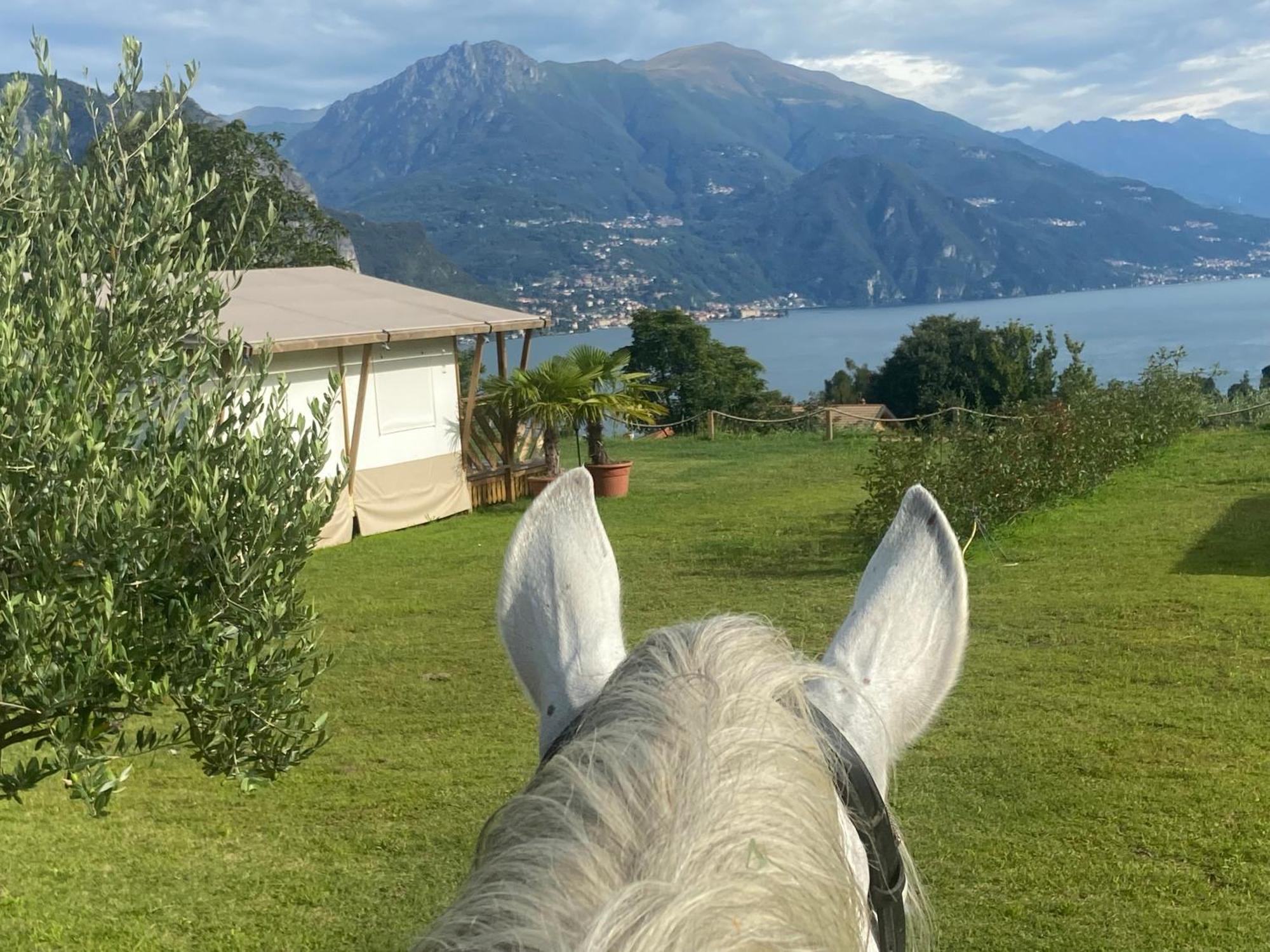 Luxury Lodge Bellagio Dış mekan fotoğraf